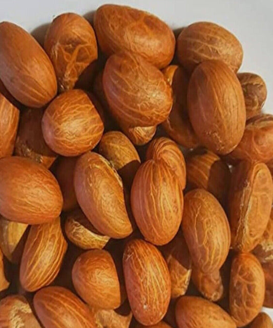Fresh Bitter Kola Nut, Fresh Garcinia Kola - Organic African Orogbo 100g
