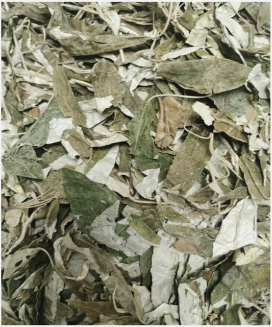 EWE AJEOBALE Powder (Croton Zambesicus) (preventing witchcraft attack) 40g